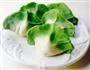 翡翠白菜水饺的做法图解8