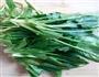 凉拌菠菜的做法图解1