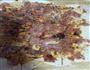 鲜肉饼的做法图解9
