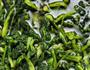 蔬菜豆孑粥的做法图解4