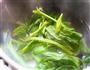 菠菜奶酪卷饼的做法图解3