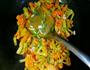 番茄菜花的做法图解5