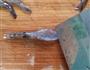 蒜蓉粉丝蒸对虾的做法图解4