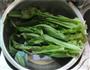 蒜香油麦菜的做法图解1