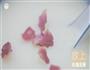 青瓷美龄粥的做法图解10