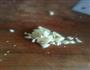 劲辣酸豇豆的做法图解4