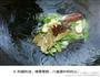 土豆焖鸡块的做法图解4