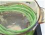 豇豆花环肉丸 宝宝辅食微课堂的做法图解5