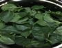 自种野菜的做法图解1