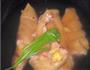 小米辣拌猪蹄的做法图解2