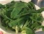 蒜瓣炒青菜的做法图解1