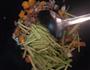 肉糜丁炒芹菜的做法图解7