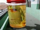 花茶